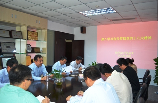 菠菜担保网集团党总支组织学习十八大精神