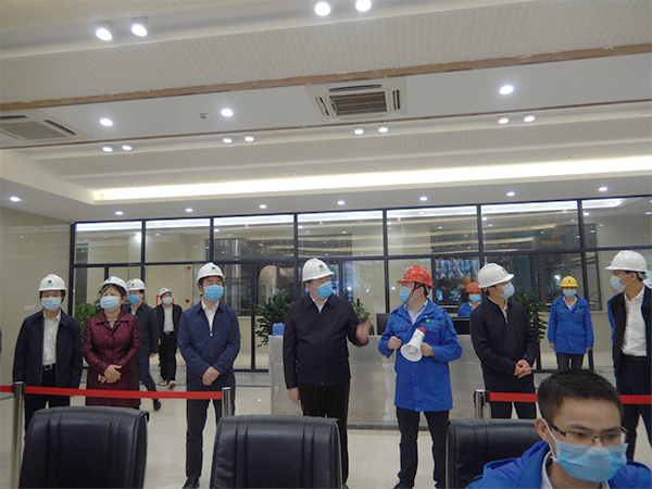 广西壮族自治区人大常委会副主任张秀隆视察菠菜担保网博白项目